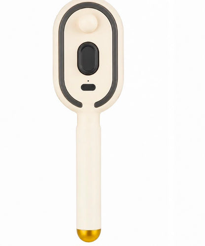 Hair Steam Brush